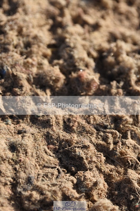 230915A-095438-00103 - Cls 8 85cm Amateur Qualifier