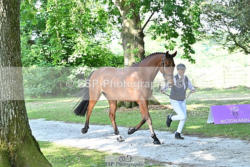 250521A-161941-01060 - C-267-Jeanette.Brakewell-PRIMIRO