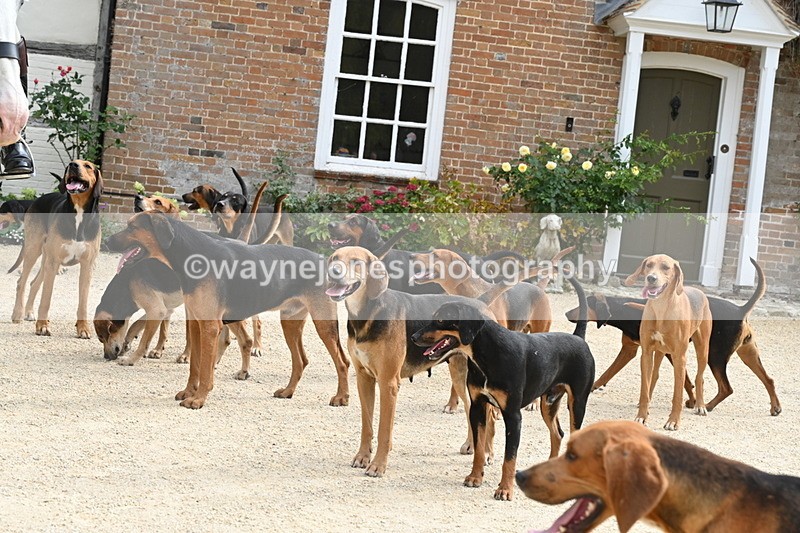 WJ6_3374 - Berks & Bucks - The Old farmhouse - Hound Exercise 20-08-25