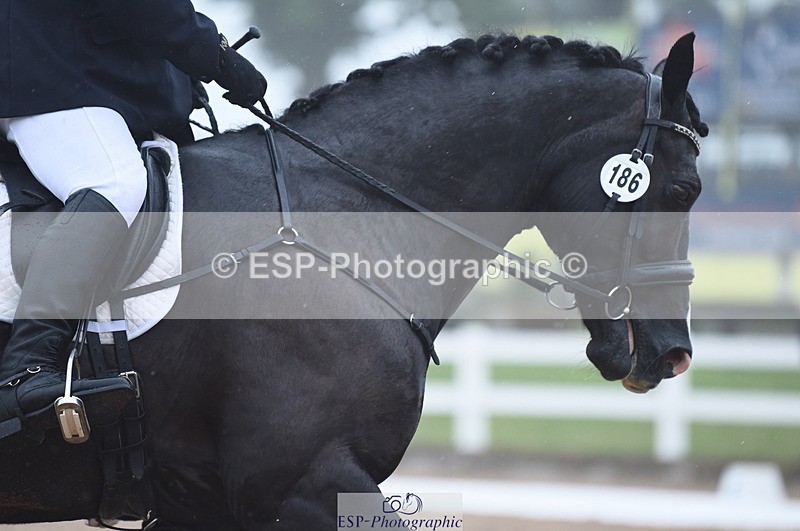 230708A-150800-03220 - Novice 24