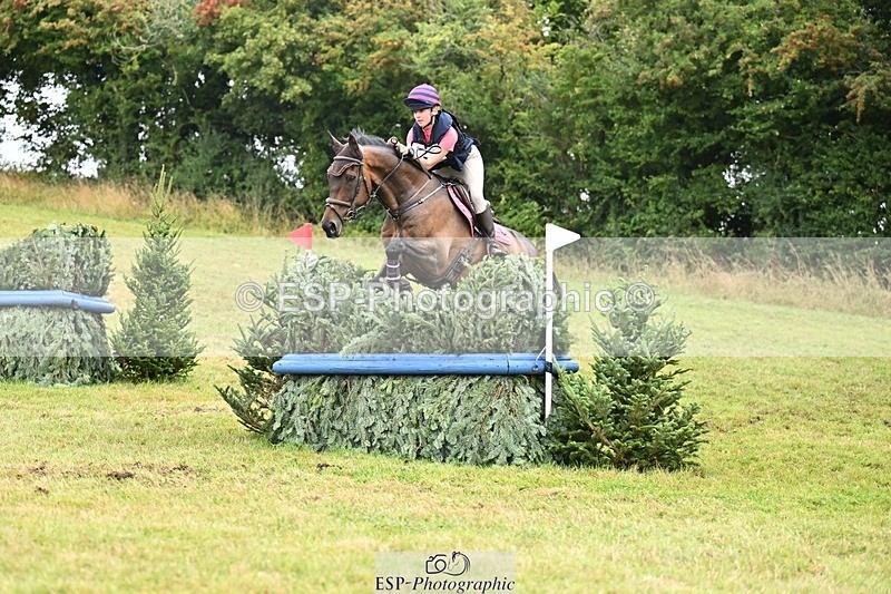 TS_b2766080 - SAT BE 90 Recovered Files fence 8