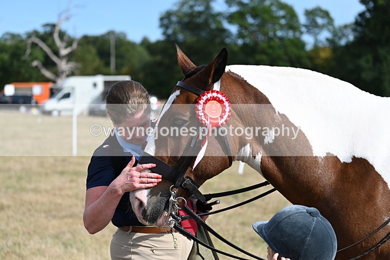WJ7_7944 - George ...