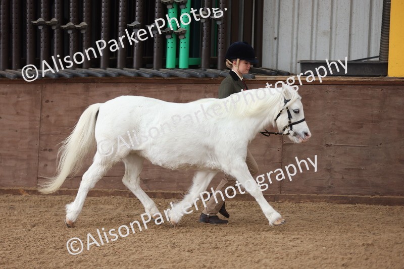 20251109-0552 - Class 21 - Mares 4 Years and over