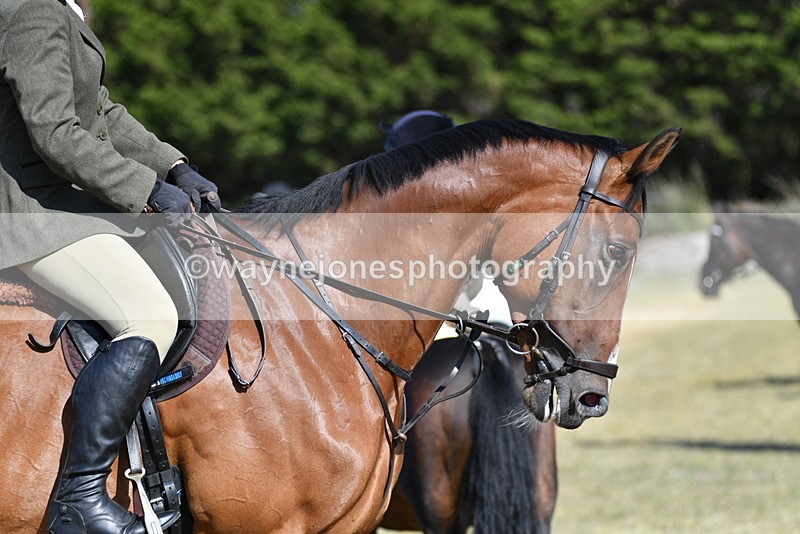 WJ5_4667 - Pre meet