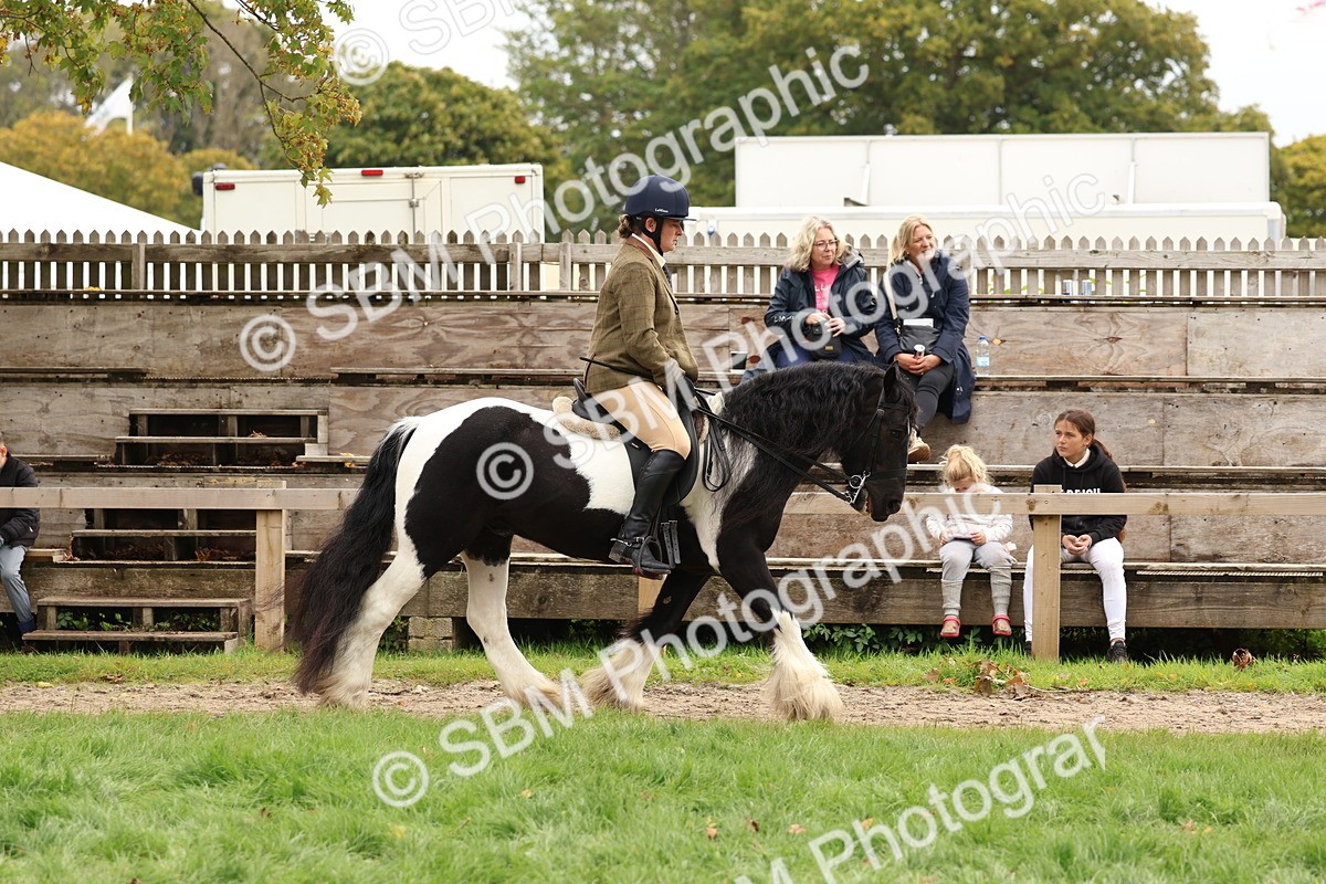 SBM_64425 - S58 - Coloured Pony Ridden