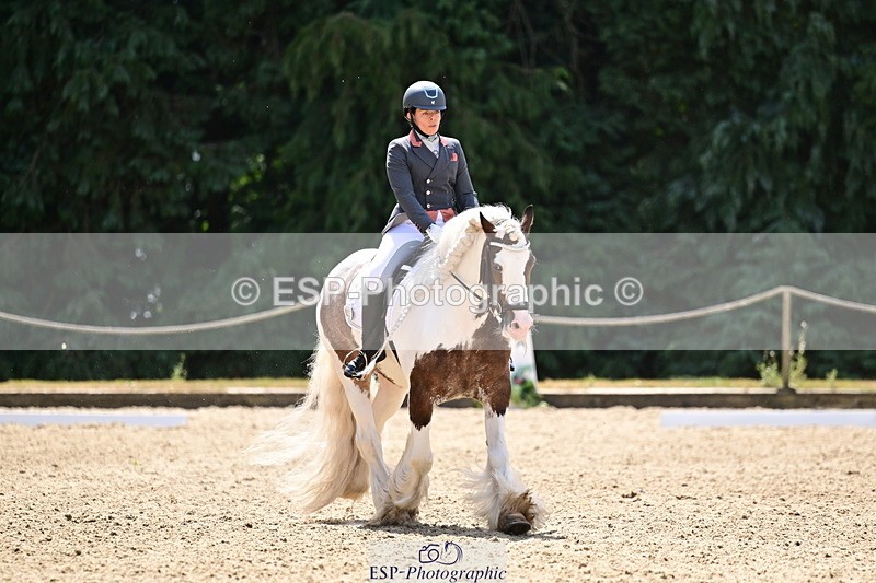 260802A-123346-06275 - Novice Silver break- end