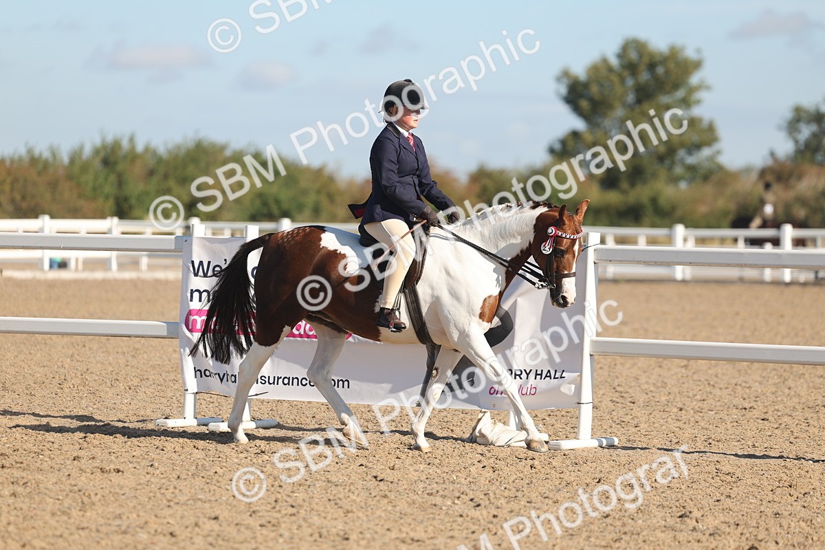 SBM_12289 - Class 304 - Ridden part Bred Horse Pony