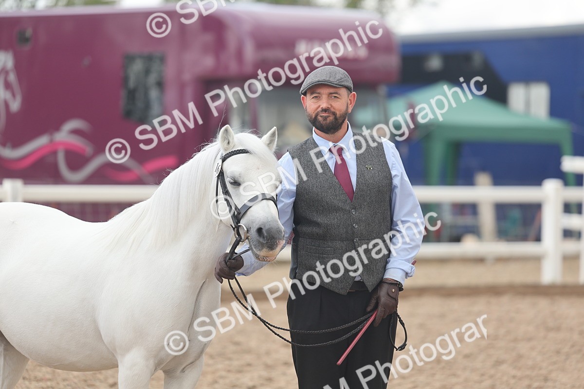 SBM_03277 - Class 16 - IH M&M Wildcard