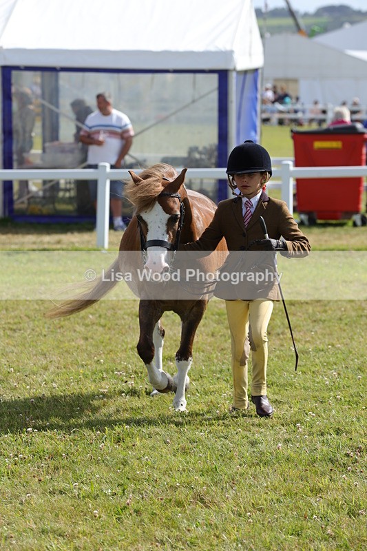 1X9A5815 - Class 40: NPS Welsh A & B