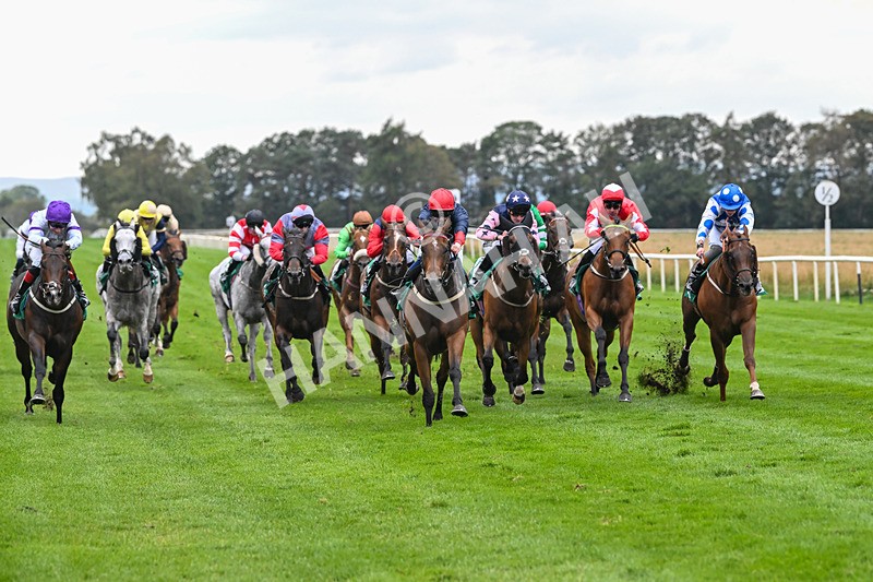 060925-Race 5-Eternal Sunshine-5856 - Race 5