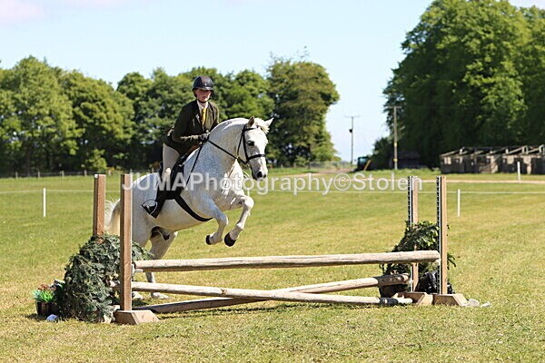 IMG_3838 - Working Hunter