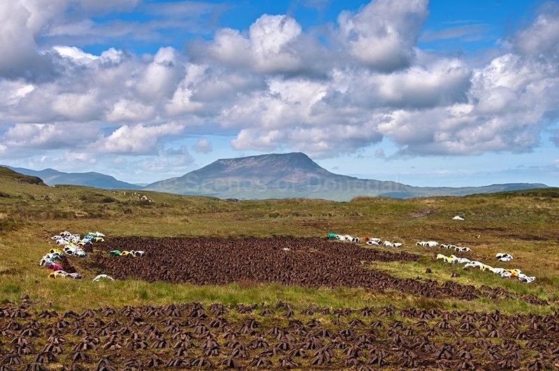 DSC_9723 - Lough Salt