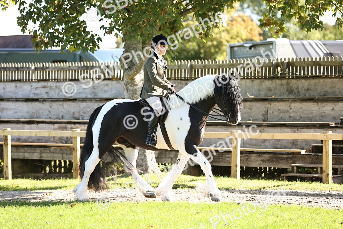 SBM_16873 - S2 - TSR Ridden Pony Showing