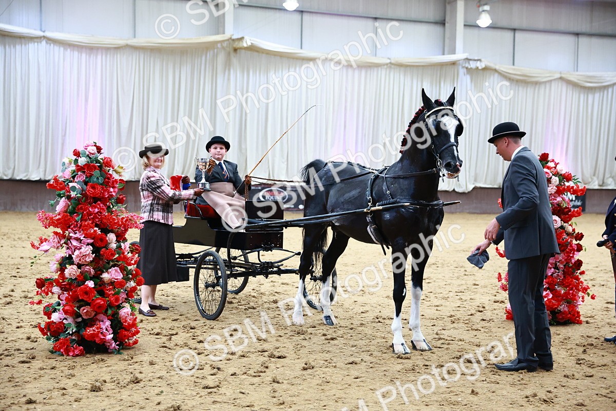 0B8A3918 - Class 13  - HHS Championship Intl Hackney Horse to a Show Wagon