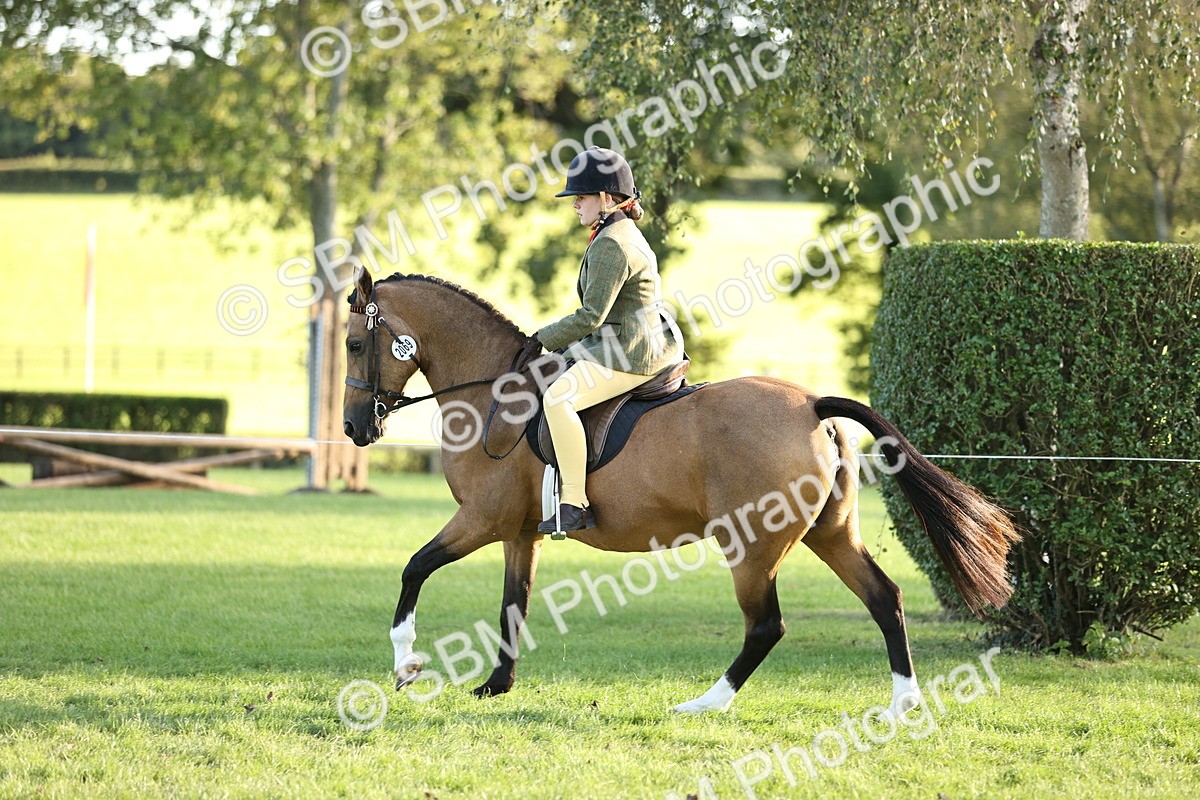 SBM_29586 - S7 - Novice & Newcomers Ridden Pony