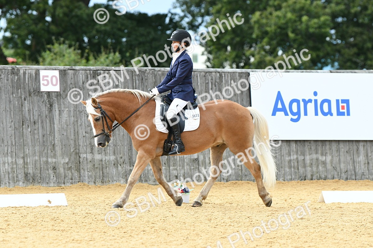 SBM_10918 - D28 Elementary Taster Elementary 42