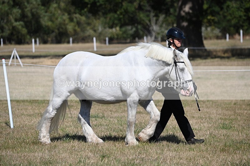 WJ6_4397 - Class 17 Mountain & Moorland