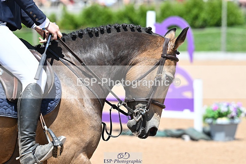 260627-134120-04434 - Cls 14 Newcomers 2nd R's Jump Off and P