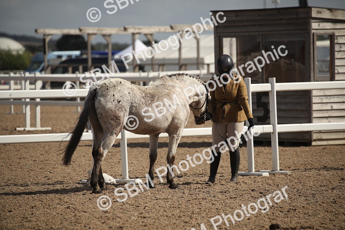 SBM_23401 - Class 604 - 2026 - Area IH Diamond