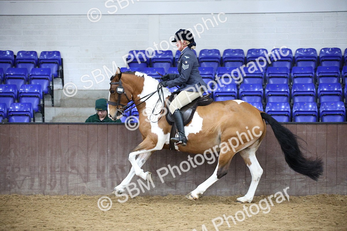 5K7A6112 - Class 48 - Ridden Mare