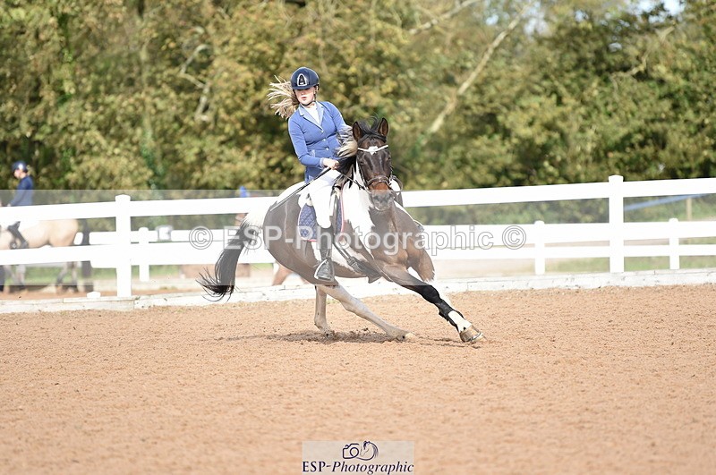 231015A-131122-08234 - Cls 25 95cm Amateur Q 2nd R