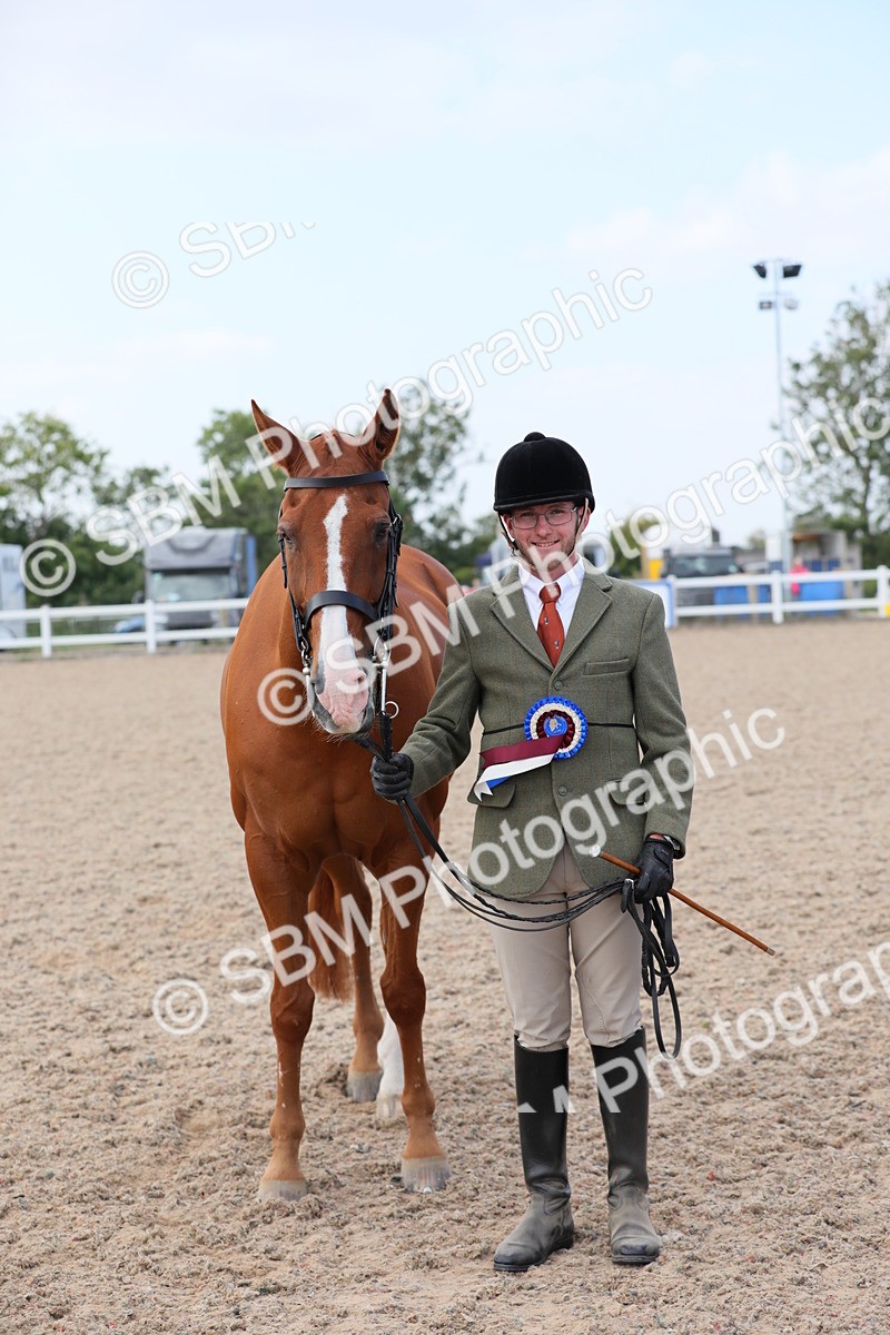 SBM_15858 - Class 312 IH Competition Horse/Pony