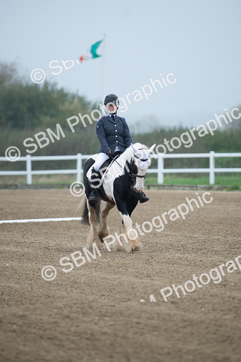 SBM_003380 - Introductory Test 3