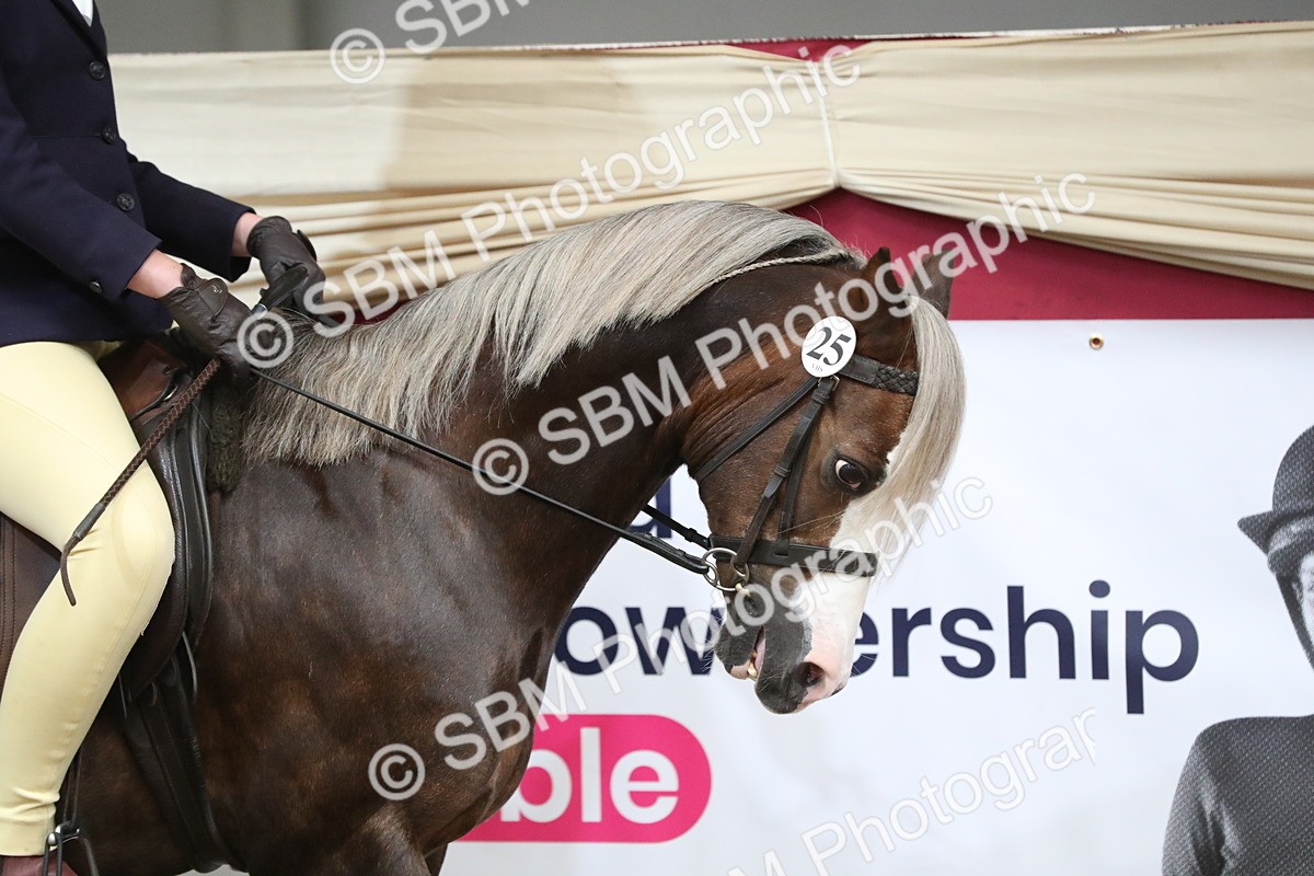 SBM_16253 - Class 502 M&M Ridden Supreme Final