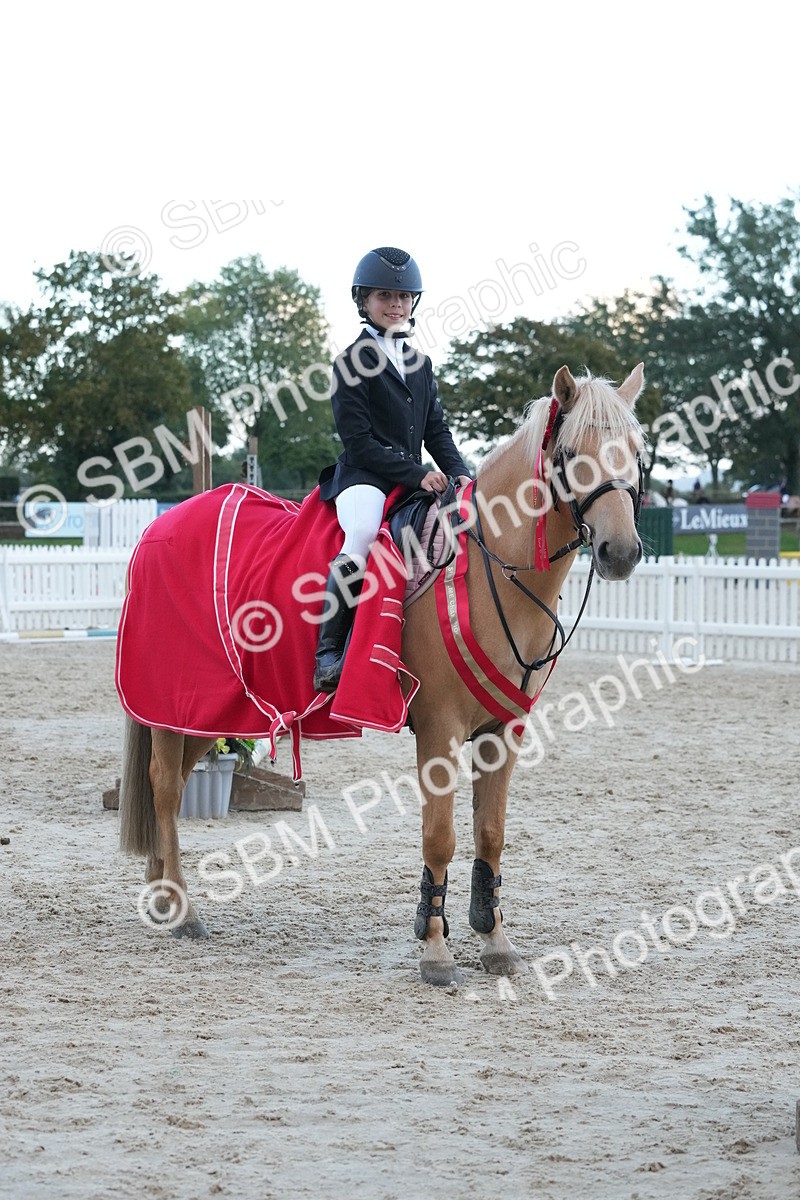 SBM_54222 - Supreme Championship 60cm 65cm