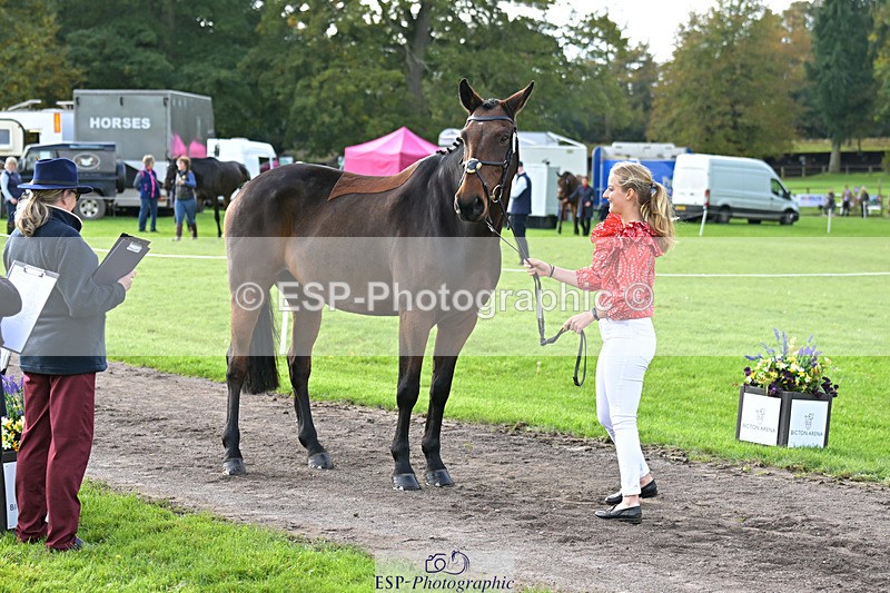 241023-132524-00277 - 018-Alice.Robinson-DERRYS.DIAMOND.CAVALIER