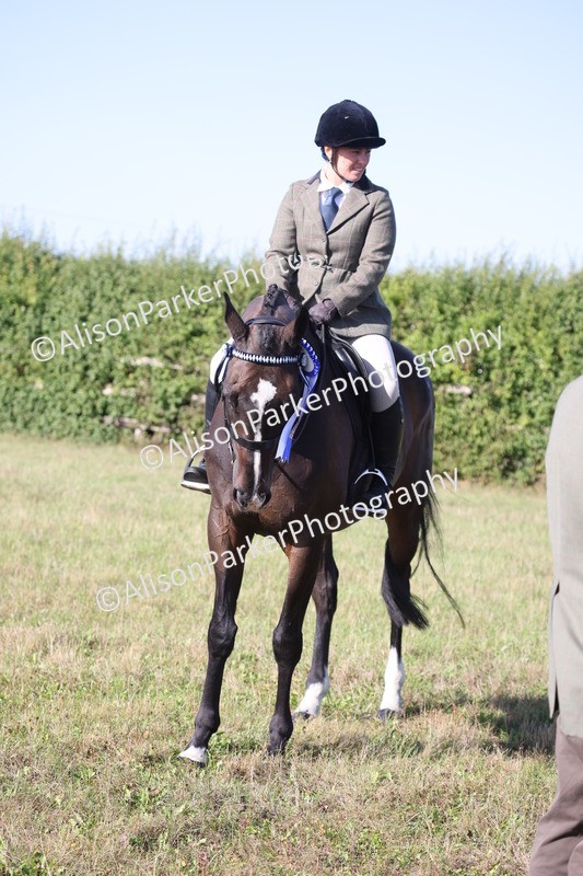 20260906-0422 - Class 14 - Ex Racehorse