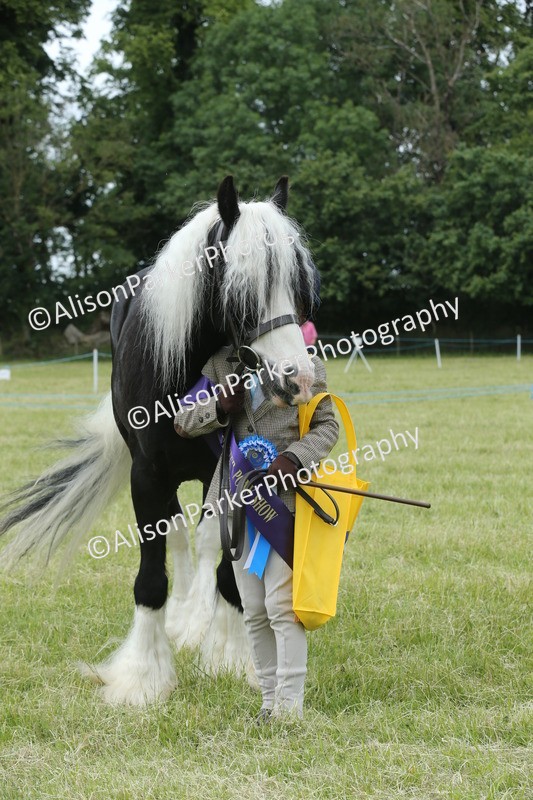 20260614-4328 - Class 18 - Best Junior Handler