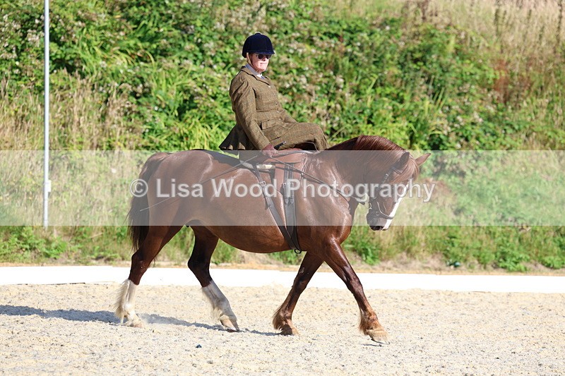 3E7A3446 - Class 2: Intro 1 2024 Section B