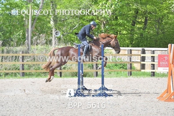 BPP_5616 - CLASS 24 SUN Senior BritiNovice/ 90cm Open