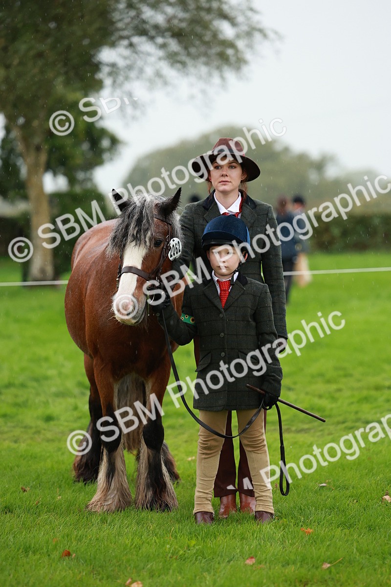 SBM_34895 - S10 - Best In Hand Horse & Pony