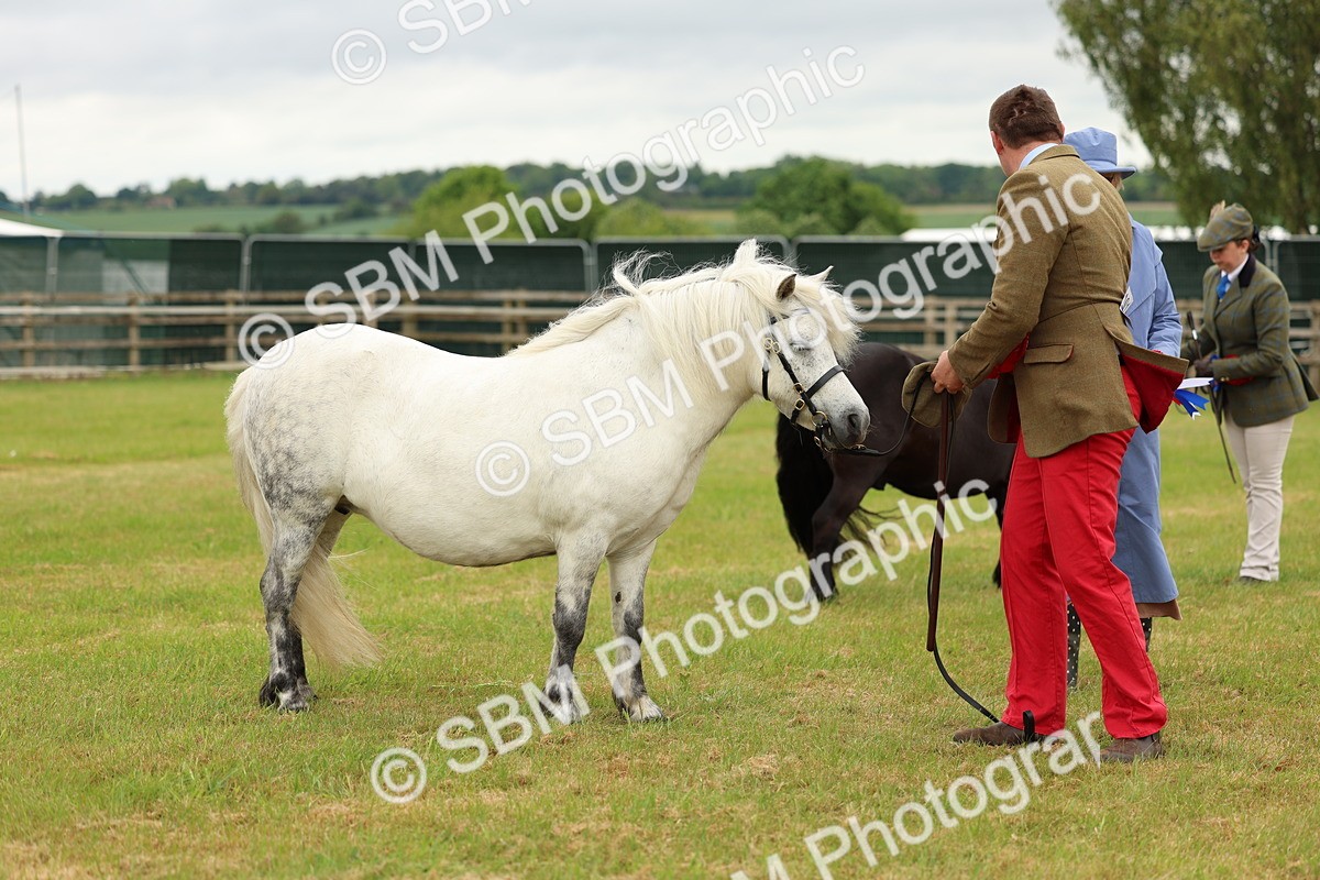SBM_03524 - Class 58-67 - M&M Non Welsh Pony In hand