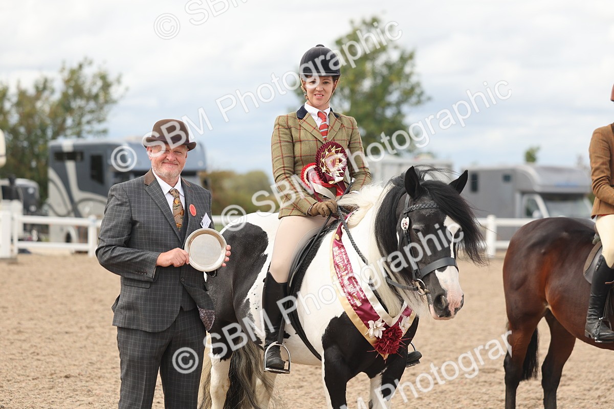 SBM_18066 - Class 314 - Family Horse Pony