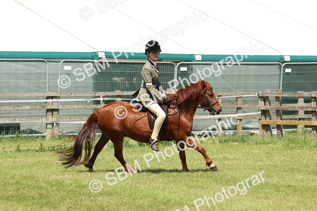 SBM_06829 - Class 26-30 - Mountain and Moorland Ridden