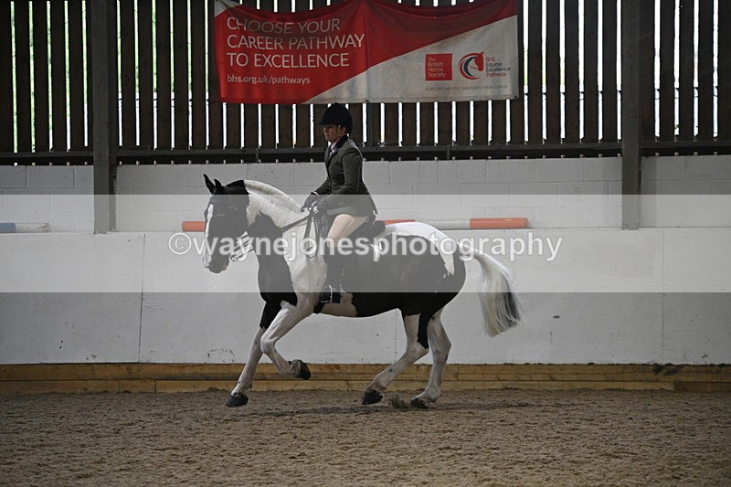 WJ7_4055 - Class 17 Ridden Cob