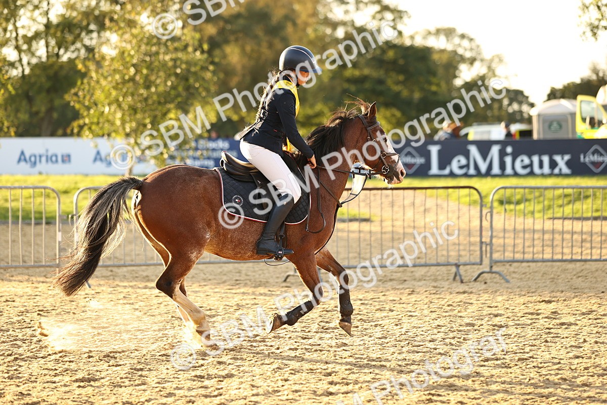 SBM_56142 - J10 - Junior Pony 75cm Championship