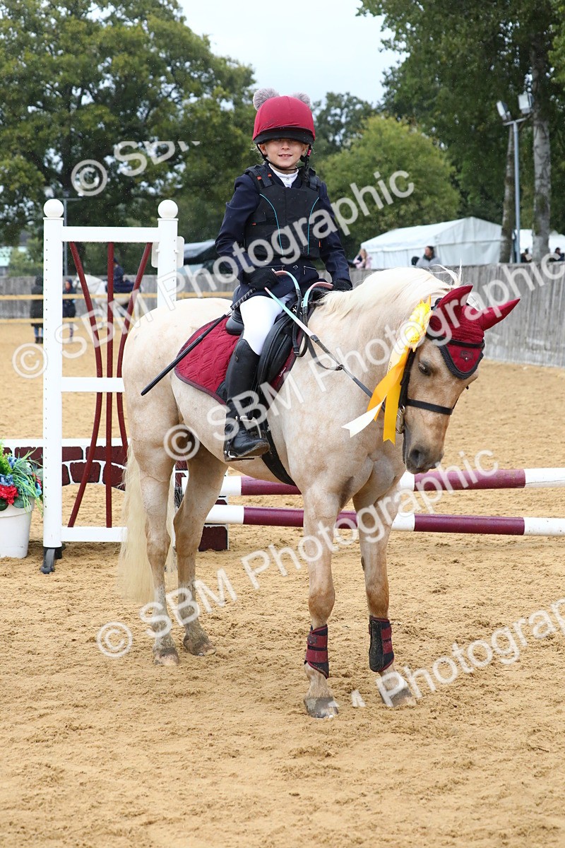 SBM_72106 - J3b - Mini Tour Junior Pony 40cm Championship