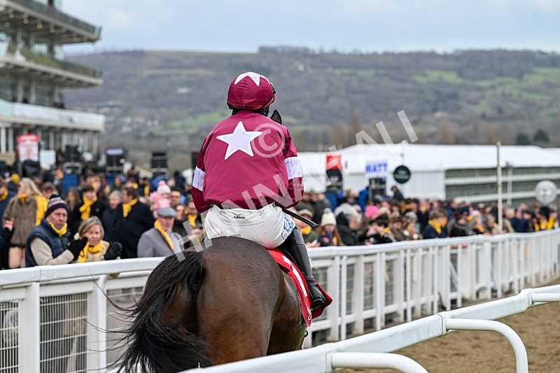 240126-Race 4-Favori De Champdou-6916 - Race 4
