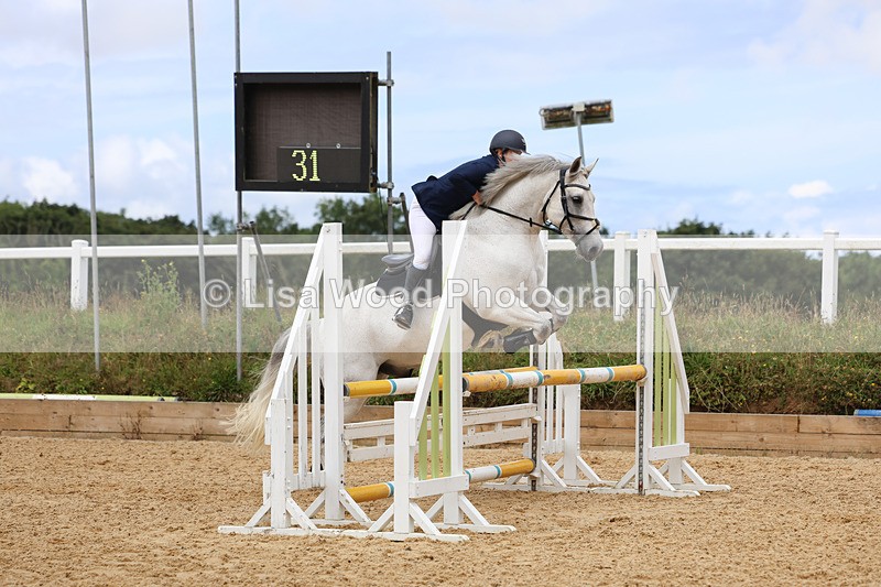 3E7A0130 - Class 9: Senior British Novice/90cm open