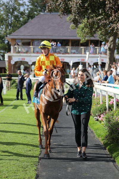 yr20082022r6-29 - Race 6 4.45 pm Julia Graves Roses Stakes