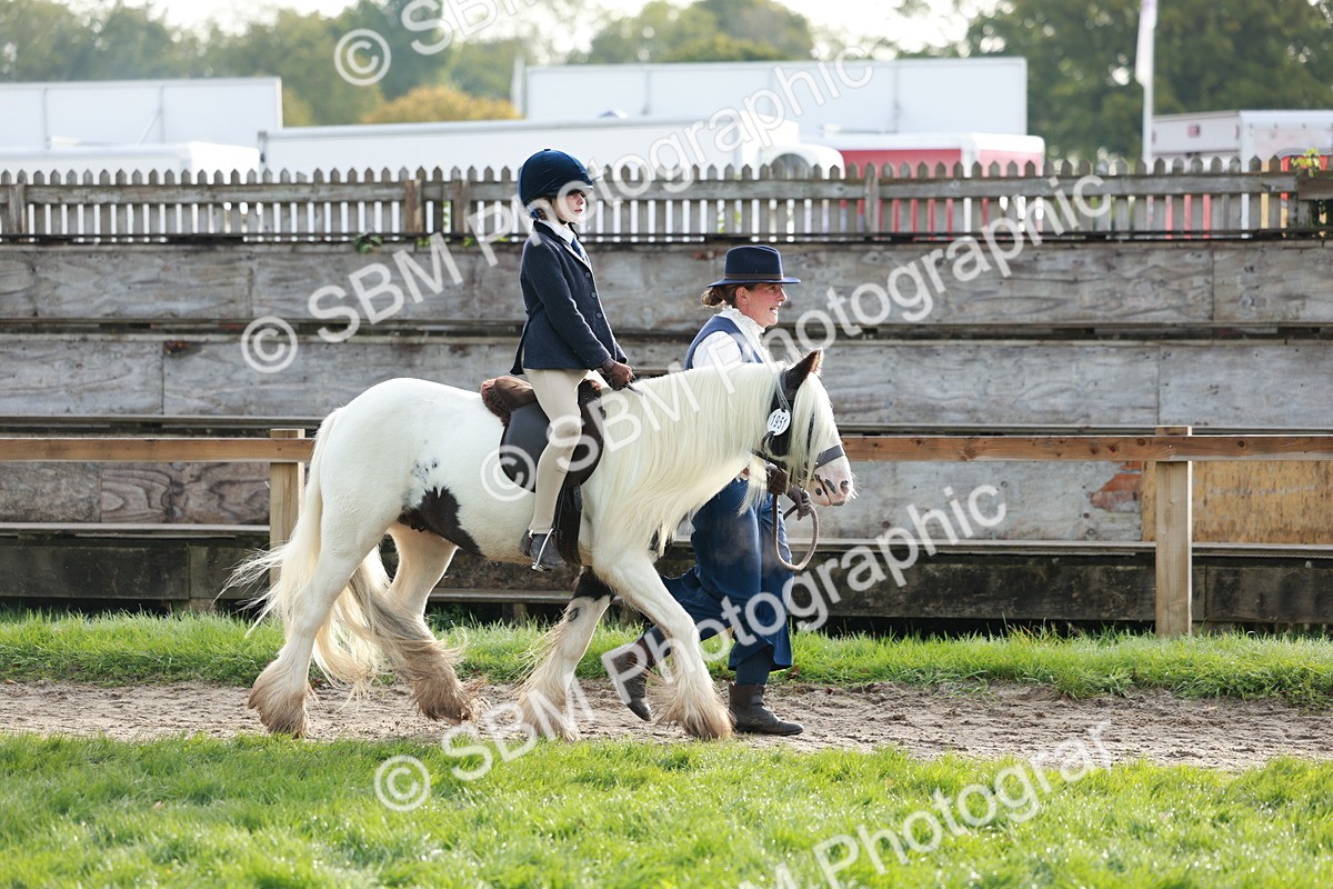SBM_56297 - S39 - Starters In Hand Showing