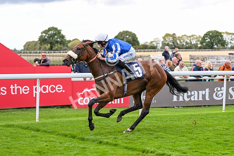 170925-Race 2-Lady Youmzain-4103 - Race 2