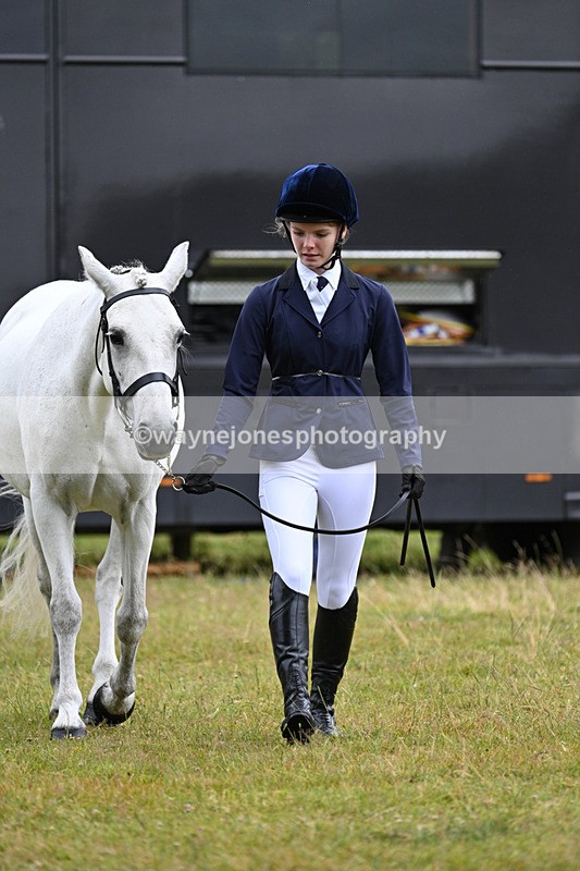 WJ7_6121 - Class 4a Prettiest Mare over 14hh