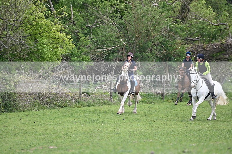 WJ6_3543 - Group 8 A camera ?