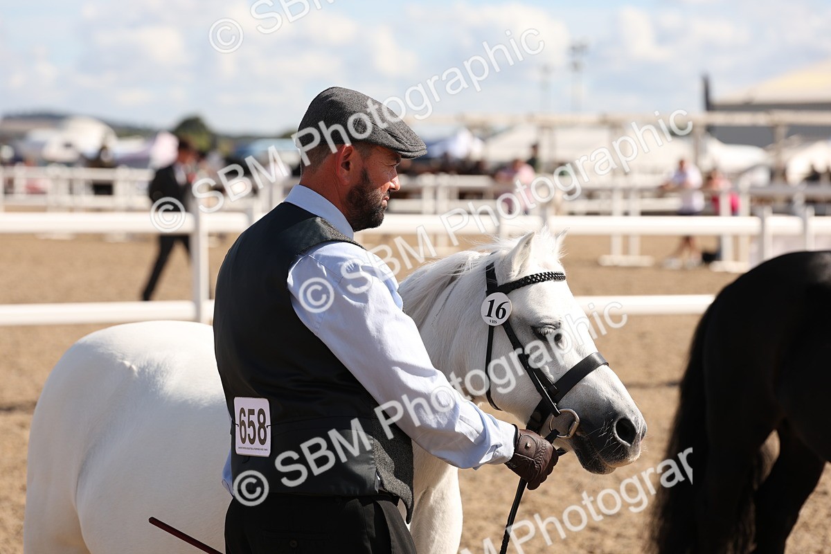 SBM_14112 - Class 207 - IH M&M