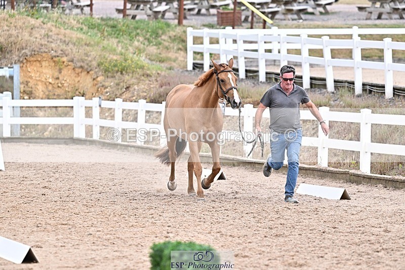 250716-164000-00729 - Trot Up 4.30 to 5.00